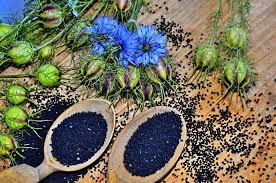 Kalonji (Nigella Sativa) Benefits: Powerful Black Seed for Health & Wellness