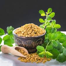 Methi (Fenugreek) for Hair: Benefits, Uses & Hair Growth Remedies