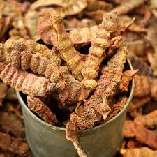 Mulethi (Licorice) for Hair: Reduce Hair Fall & Promote Growth Naturally