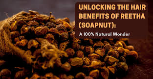 Premium Reetha (Soapnut) Whole & Powder – 100% Natural Herbal Hair Cleanser