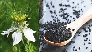Kalonji (Nigella Sativa) Benefits: Powerful Black Seed for Health & Wellness